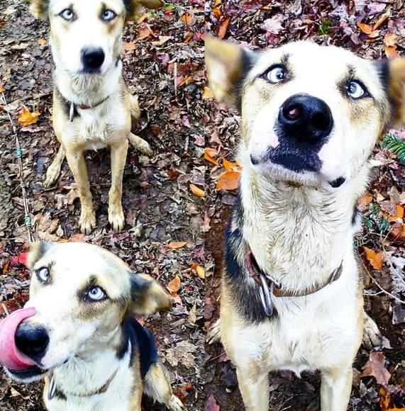 Meet the Posher Other - Meet your Posher, Kat